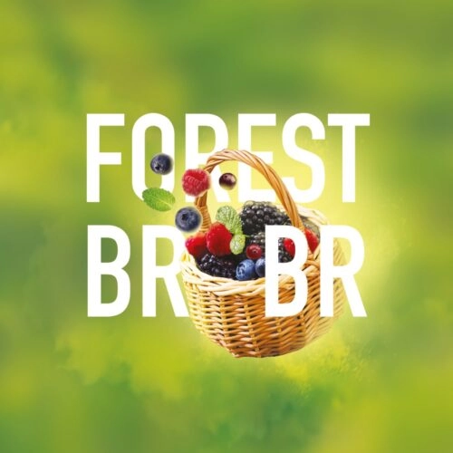 Must H FOREST BRRS 25g Shisha Tabak Wilde Waldbeeren Geschmack