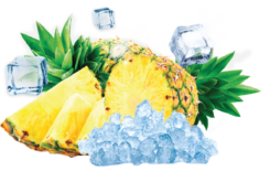 290-ICE PINEAPPLE(ICE PIN)-01.png