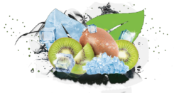 300_ICE KIWI - ICE BIRD-01.png