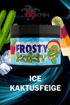 jookah-tabak-25g-frosty-kaktys-1er-shwd23230_600x600.webp