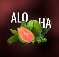 aloha3 (2).jpg