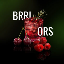 Brri_Ors (2).jpg