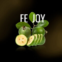 Fejoy (2).jpg