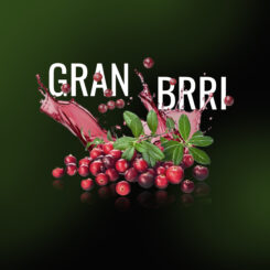Gran_Brri (2).jpg