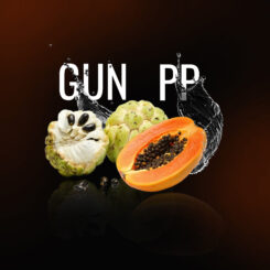 Gun_PP  (2).jpg