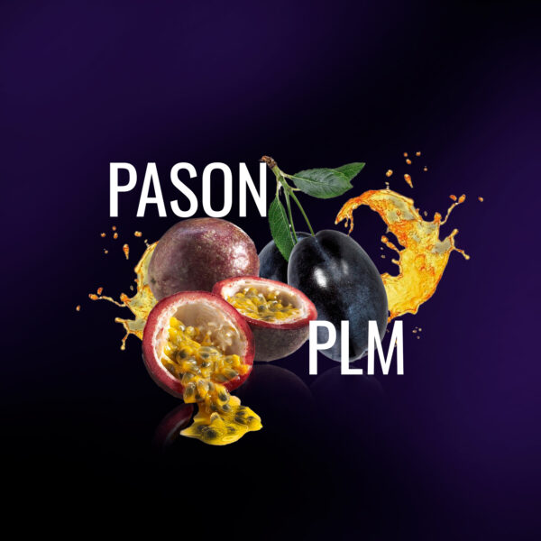 Pason_Plm (2).jpg