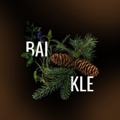 Baikle.jpg