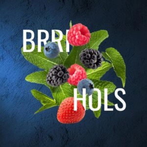 Must H BRRI HOLS 25g Shisha Tabak Saftige Beeren mit kühlender Frische Geschmack