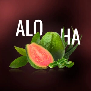 Must H ALOHA 25g Shisha Tabak Sanfte Aloe Vera trifft süße Guave Geschmack