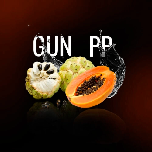 Must H GUNPP 25g Shisha Tabak Guanabana-Papaya Geschmack