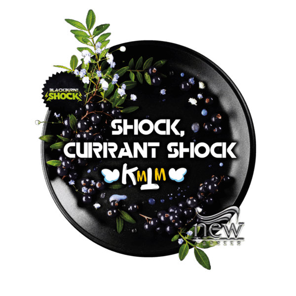 BB-SHOCK-CURRANT-SHOCK