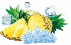290-ICE PINEAPPLE(ICE PIN)-01.png