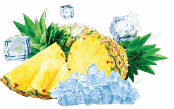 290-ICE PINEAPPLE(ICE PIN)-01.png