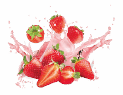 160_STRAWBERRY MILK SHAKE - STRA SHARK-01.png