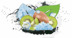 300_ICE-KIWI---ICE-BIRD-01-png.png