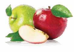 TWO APPLWS-01.png