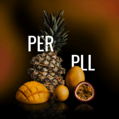 PER_PLL_ergebnisPER_PLL.png