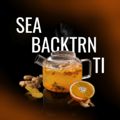 SEA_BACKTRIN_TI_ergebnisSEA_BACKTRIN_TI.png