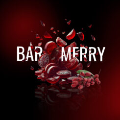 Barmerry4 (2).jpg