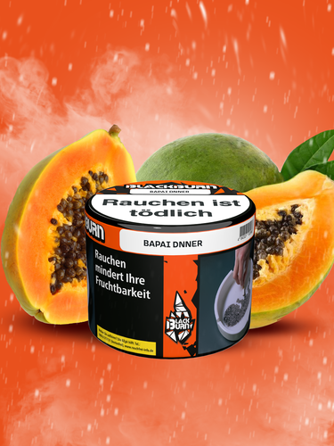 BAPAI DNNER_ergebnisBAPAI DNNER.png