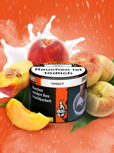 YOGGI P_ergebnisYOGGI P.png